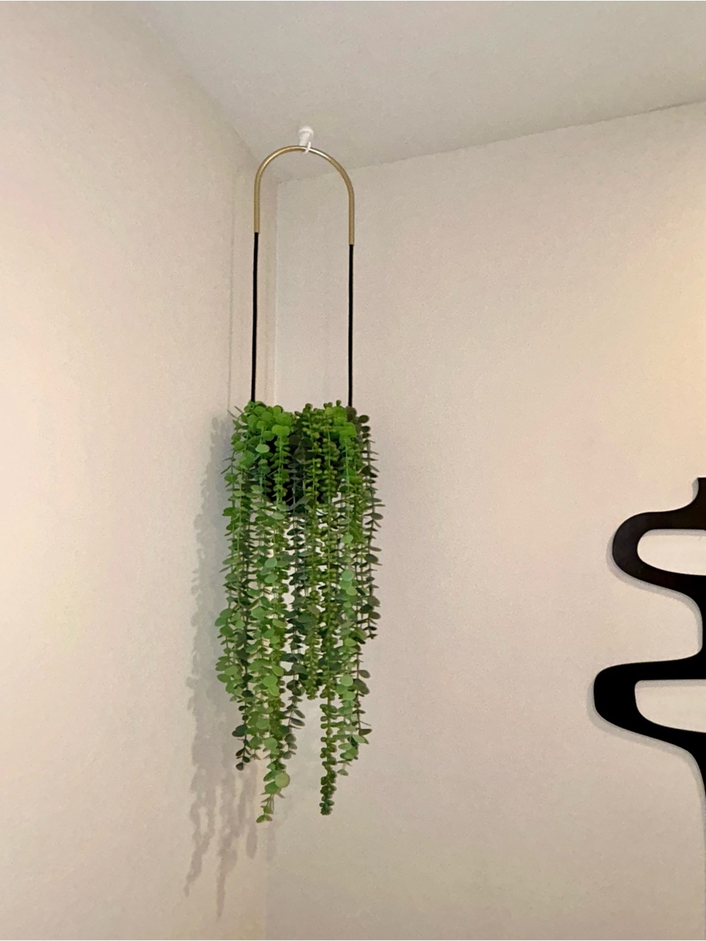 NWOT Umbro Black Hanging Planter with Brass Hanger